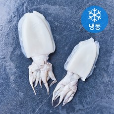 손질통 갑오징어 2미 (냉동), 1개, 200g 1개, 200g