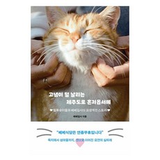 고냉이 털 날리는 제주도로 혼저옵서예:털복숭이들과 베베집사의 묘생역전 스토리, 고냉이 털 날리는 제주도로 혼저옵서예, 베베집사(저), 흐름출판, 베베집사