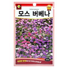 다농 모스 버베나 씨앗 200p, 1개 원예/가드닝 다농 모스 버베나 씨앗 200p, 1개 원예/가드닝