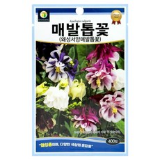 다농 매발톱꽃 왜성서양매발톱꽃 씨앗 400p, 1개