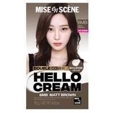 미쟝센 헬로크림 더블커버 새치 겸용 염모제, 1개, 매트브라운