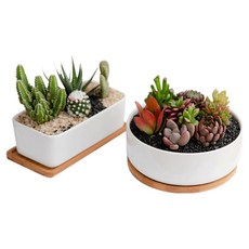 Milda 多肉植物花盆 2入, 1個