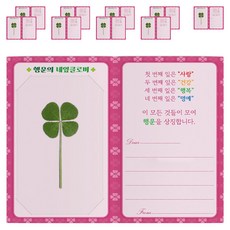 럭키심볼 행운의 네잎클로버 생화 코팅 카드 10p + 깜찍이 폴더카드 미니 10p 세트, 투명(코팅카드), 혼합색상(폴더카드), 1세트