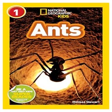 National Geographic Kids Readers Level 1 : Ants
