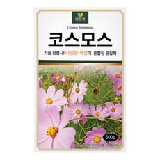 다농 씨앗애 코스모스 씨앗 500p, 1개 1개