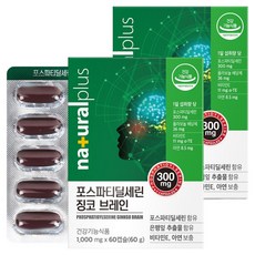 내츄럴플러스 포스파티딜세린 징코 브레인 60g, 60정, 2개