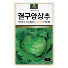 다농 씨앗애 결구양상추 씨앗 2g, 1개