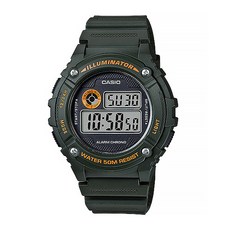 CASIO 卡西歐 手錶 W-216H-3B, 1支, 綠色