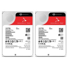 씨게이트 IronWolf PRO NAS용 HDD 2p, ST22000NT001, 22TB ST22000NT001, 22TB