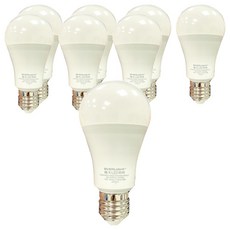 EVERLIGHT 億光 LED 球泡燈 13W, 8個, 白光