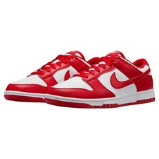 NIKE 耐吉 DUNK LOW NEXT NATURE 女款 低筒休閒鞋 DD1873-116