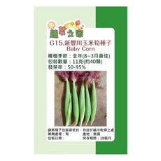蔬菜工坊 新豐川玉米筍種子 G15, 40個