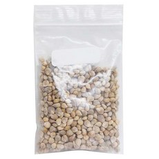 蔬菜工坊 西螺大葉菠菜種子 A91 14g 1200顆, 1個