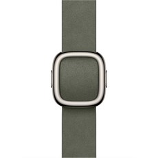 Apple 정품 2025 애플워치 모던 버클, 세이지 그레이, 1개, 42mm, Large