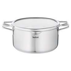 테팔 인덕션 노르디카 양수냄비, 스테인리스 스틸, 1개, 24cm