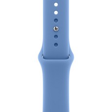 애플워치 스포츠 밴드, 와일드플라워 블루, 42mm, S/M