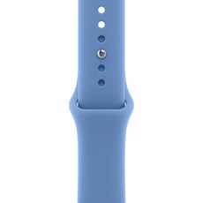 애플워치 스포츠 밴드, 와일드플라워 블루, 40mm, M/L