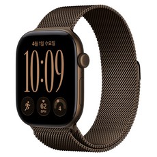 Apple 2026 애플워치 시리즈 12, 다크 브론즈, 46mm, GPS+Cellular, 알루미늄, 다크 브론즈 밀레니즈 루프, S/M