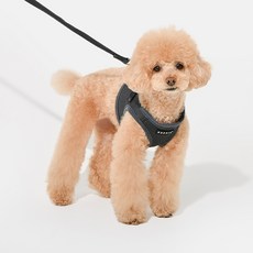 퍼피아 강아지 소프트 베스트 하네스 AH305 B스타일, 그레이