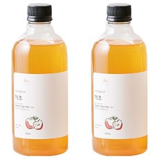 순희엄마 애초 사과 식초, 500ml, 2개