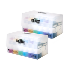 ShinHan Professional Colorist 管型海報顏色 40ml x 12 種 2 套 12 色, 12 種顏色