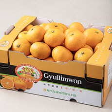 귤림원 GAP 인증 당도선별 11brix 감귤 로얄과, 3kg, 1개