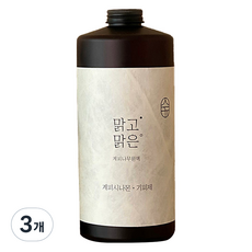 온다숲 계피 스프레이 리필형, 1L, 3개