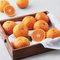곰곰 제주 고당도 카라향, 1.8kg, 1개