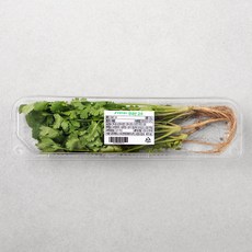 국내산 고수, 30g, 1개