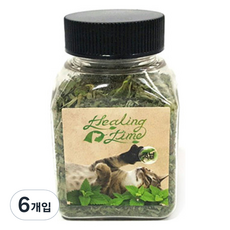 힐링타임 띵가띵가 드라이 캣글라스, 캣닢, 7g, 6개