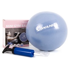 아이워너 미니 짐볼, 라벤더 레드