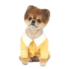 이츠독 킨더 강아지 면 티셔츠, 옐로우