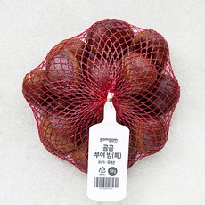 곰곰 부여 밤(특), 500g, 1개