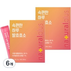 내츄럴플러스 속편한 하루 곡물 발효효소 30p, 120g, 6개