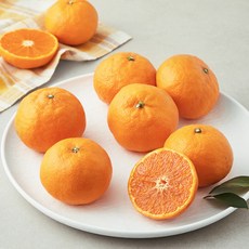 곰곰 고당도 13.5brix 카라향, 1.2kg, 1개