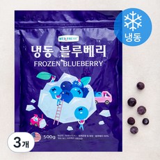 웰프레쉬 미국산 블루베리 (냉동), 500g, 3개