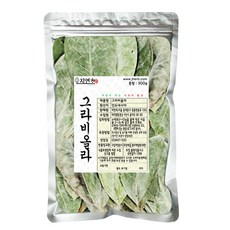 자연초 그라비올라 A형, 300g, 1개입, 1개