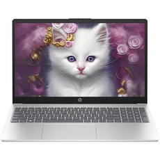 HP 2023 노트북 15, Natural Silver, 라이젠5, 512GB, 16GB, WIN11 Home, 15-fc0065AU