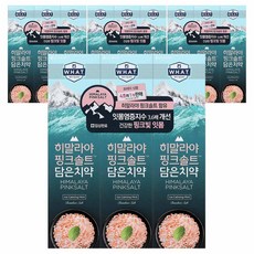 히말라야핑크솔트 담은치약 아이스 카밍 민트, 100g, 12개 - 크리드히말라야