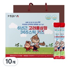 정원삼 6년근 고려홍삼정 365 스틱 키즈 30포 + 쇼핑백, 300ml, 10개