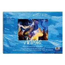 풀컬러즈 미술용 스케치북 170g x 2p, 4절, 15매 