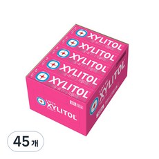 롯데자일리톨 츄잉껌 W, 24g, 45개