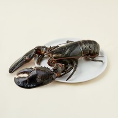 바이킹마켓 캐나다산 활랍스터, 1.5kg이상, 1개