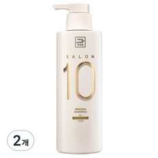 미쟝센 살롱10 단백질 샴푸 손상모발용, 500ml, 2개