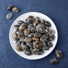 단디프레시 직접 손으로 채취한 서해안 갯벌 참바지락, 1kg, 1개