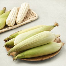 국내산 찰옥수수, 2000g, 1개, 10개입