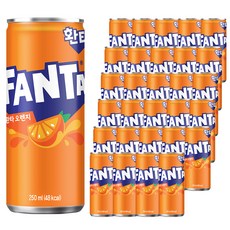 환타 오렌지 탄산음료, 250ml, 30개