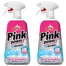 홈스타 핑크파워 욕실 찌든때 클리너, 750ml, 2개
