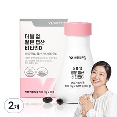 비타민마을 와이즈 더블 업 철분 엽산 비타민D 30g, 60정, 2개