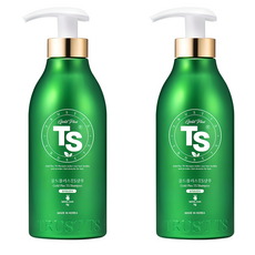 TS 골드플러스 티에스 샴푸, 500ml, 2개 500g, 2개